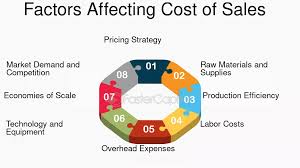 FACTORS AFFECTING THE COST OF EHALLPASS